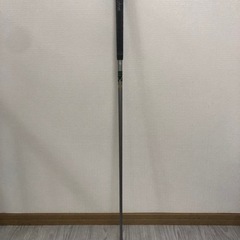 アクシネット　ブルズアイパターの画像