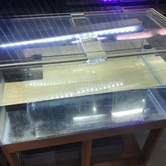 1200水槽 大型水槽 アクリル水槽 セット