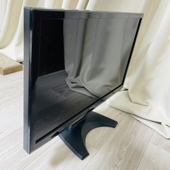 MITSUBISHI RDT231WLM-S HDMI