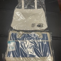 🉐🉐セール❗️保冷バック&トートバッグセット（限定1）アウトドア...