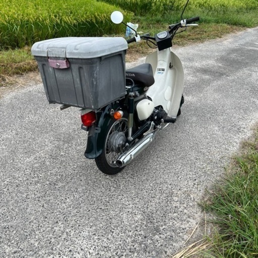 ホンダ　リトルカブ50cc