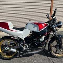 希少 絶好調 ホンダ NS-1 ネイキッド仕様 ボアアップ 新品...