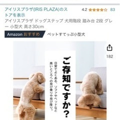 ステップ台　犬用の画像
