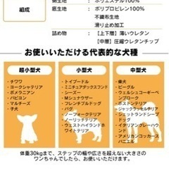 ステップ台　犬用の画像