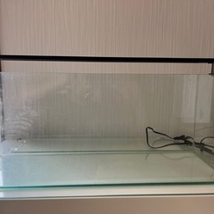 60センチ　スリム水槽