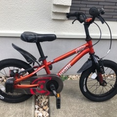  （D-Bike Master+ 14）