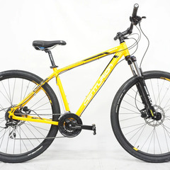 Centurion マウンテンバイク(自転車)の中古が安い！激安で譲り