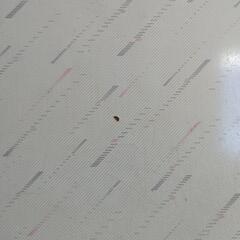 こたつの画像