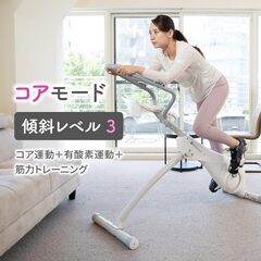 ★半額 以下    エアロバイク　立ちこぎ　3変形