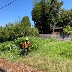 樹木の伐採、剪定、草刈りやります！見積無料！ − 富山県