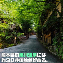 島根のみなさん！  田舎留学！高級旅館で仲居！未経験可 ！ 家具家電付きの寮が月12000円！温泉無料の画像