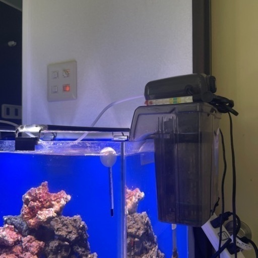 ※ゲリラセール　海水魚飼育セット