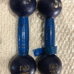 【差し上げます】鉄アレー　2kg 2個セットの画像