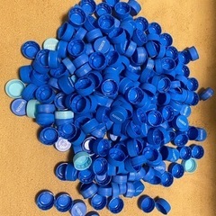 ペットボトルキャップ 700個？くらいの画像