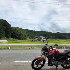 オルディナ
