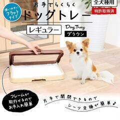 犬用 ドックトレー 1000円の画像
