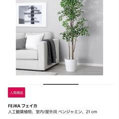 IKEA -FEJKA 人工観葉植物 ベンジャミン 高さ170cm • 鉢カバーセットの画像