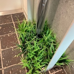 【東京都北区王子引取限定】 傘立てと折り畳み傘の画像