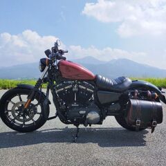 スポーツスター XL883N（受付終了間近）の画像