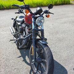 スポーツスター XL883N（受付終了間近）の画像