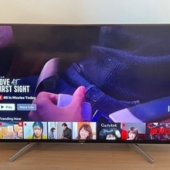 Sony BRAVIA 49型液晶テレビ