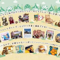 第7回 みのおわんわんモール - 箕面市