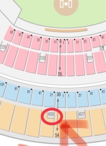 【NiziUライブチケット2枚あります】