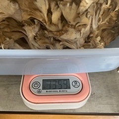 天然舞茸1300g の画像