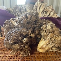 天然舞茸800gの画像