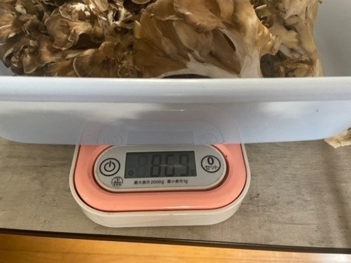 天然舞茸800g