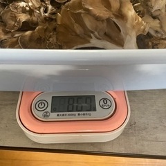 天然舞茸800gの画像