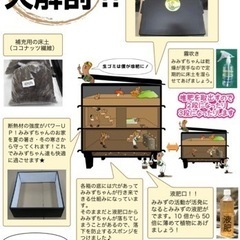 しまみみず　コンポスト　家庭菜園　肥料　野菜　SDGs  釣りエサ　シマミミズの画像