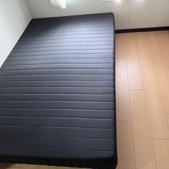 セミタブルベット の画像