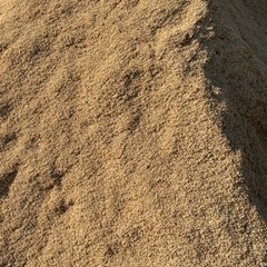籾殻 2024年産 米袋1袋パンパンの画像