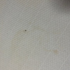 無印　脚付マットレス 13センチの画像