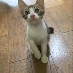 里親さん決定🐾