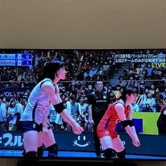 TOSHIBA 4K 65インチTV  格安で！