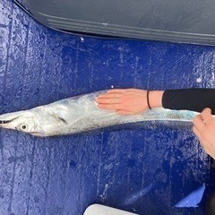 タチウオ試し釣り