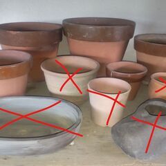 使用済みの鉢