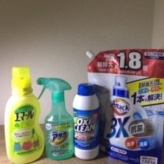  【予約済】お得！ステンレス製 洗濯ハンガー と各種洗剤と洗濯バサミの画像