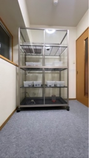 ガラス温室&爬虫類ケージ　掲載11月まで