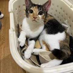 生後6か月、7か月