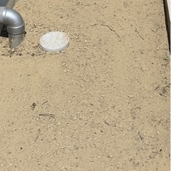 暮らしお手伝い　草むしり　草刈り　剪定などお手伝いいたします！ - 福島市