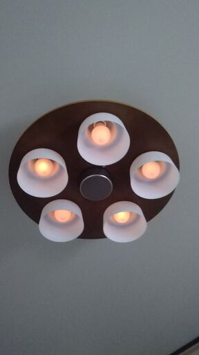 お花型かわいい照明器具 フラワーライト 調光 優しい光 白熱電球 60W形