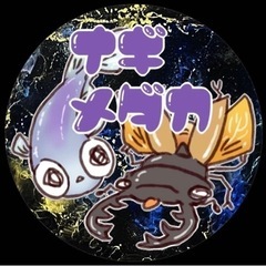 【凪メダカ】黑天幻龍　　約10〜20匹以上入ってるかも？