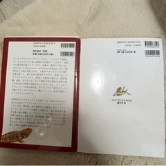 本　爬虫類　フトアゴ の画像