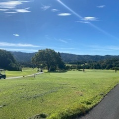 一緒にゴルフ行きませんか⛳️？
