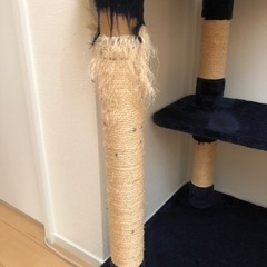 キャットタワーの画像