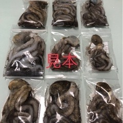 ※釣り餌※シガヤーダコ※(１Kg)※の画像