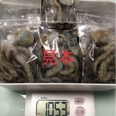 ※釣り餌※シガヤーダコ※(１Kg)※の画像